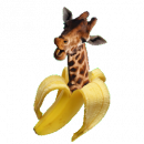 gallery/conceptual (logo)